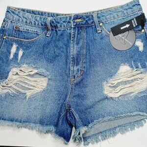 Articles of Society High Rise Vintage Shorts 11